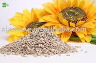 O corpo fala, para o Chinês&nbsp;também!