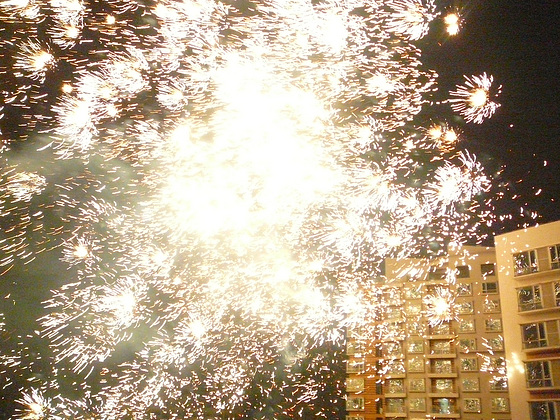 1353059_28c91f5e_560