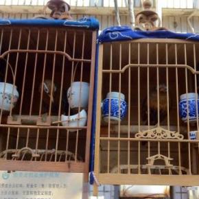 Fotos do dia a&nbsp;dia…