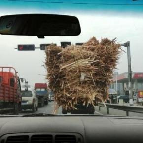 Fotografando por aí…