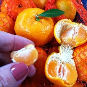 Mandarim Orange ou simplesmente tangerina para&nbsp;nós!