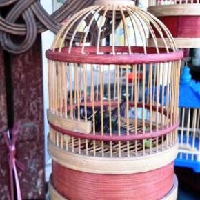 Grilos de Estimação