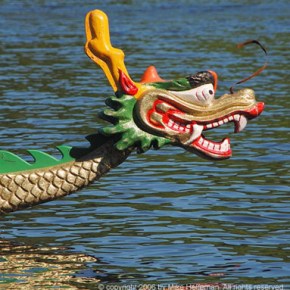 Dragon Boat festival
