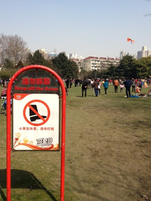 295510_10152591232430587_832299537_n