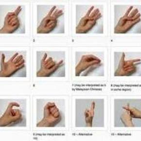 Contar com as&nbsp;mãos