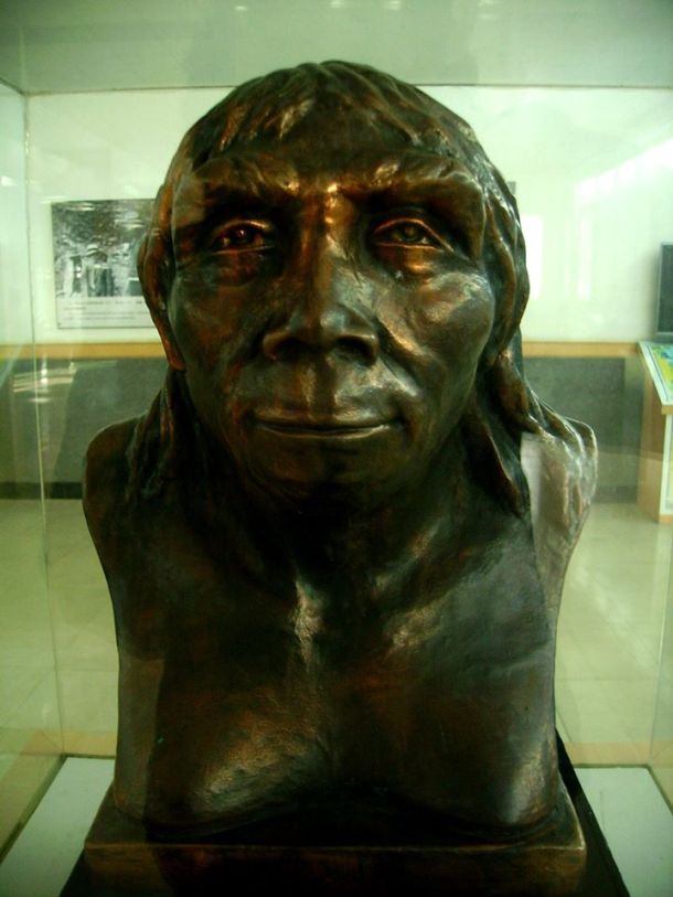 1005235_621476921219295_1710966555_n