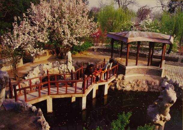 1146744_627244980642489_121166102_n