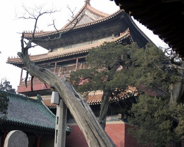 995788_627244923975828_885516106_n