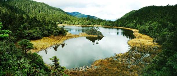 1267640_638460912854229_1306317056_o