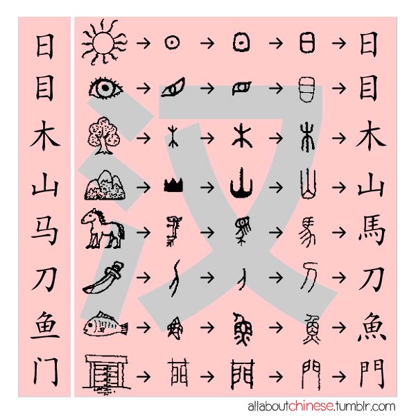 285597_510682135627341_696754053_n