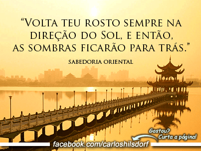 1525687_465460146899153_77909704_n