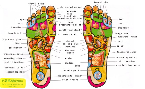 foot%20reflexology