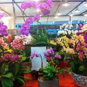 As fotos mais curtidas do China na minha&nbsp;vida!