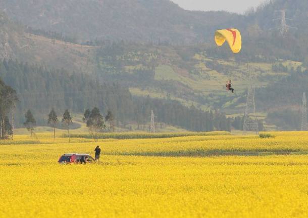 11080004_408884209284101_7738358298816314163_n