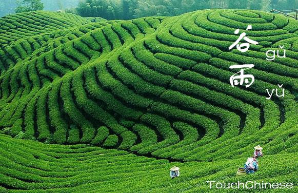 谷雨 Grain Rain (6th solar teram)