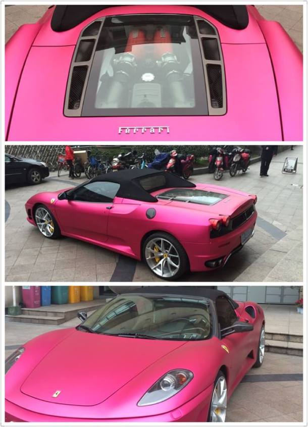 Barbara salgues maciel