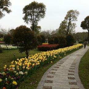 Shanghai – parques, restaurantes e compras – algumas&nbsp;sugestões.