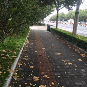 Pelas ruas de&nbsp;Shanghai