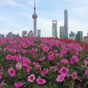 China – Real e as ‘Bolhas’&nbsp;Internacionais