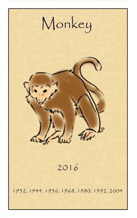 2016 macaco