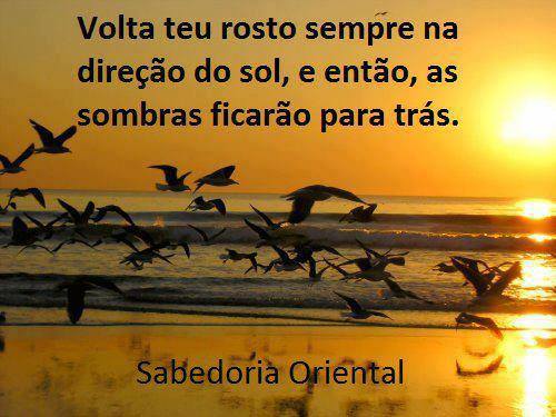 10612588_515122305289434_1178119706126093641_n