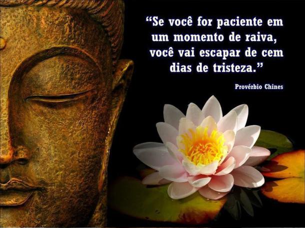 12072578_937300119678309_4171714429259543803_n