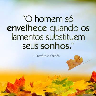 1625523_736512806369492_986704707_n