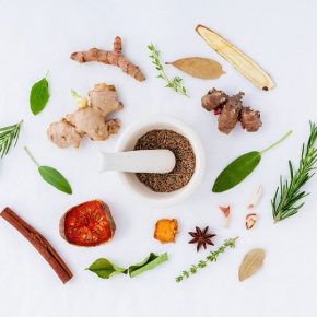 As ervas da Tradicional Medicina Chinesa –&nbsp;TCM