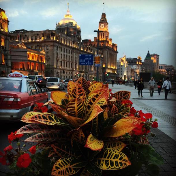 11758851_10204479260601621_576249200_n