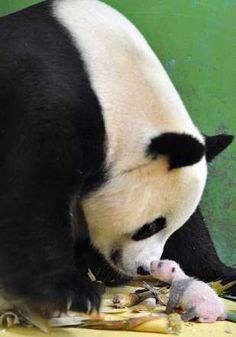 12575908_10207171367175920_411417148_n