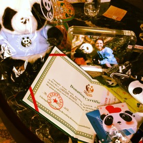 ChengDu – China: Reserva dos&nbsp;Pandas!