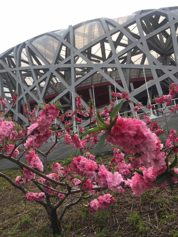 ee8227c7-9cd5-471d-8af8-f4cd55af6f2c