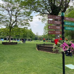 Jardim Botânico de&nbsp;Shanghai