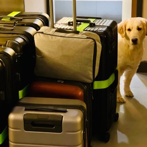 China – registro e viagem com&nbsp;animais